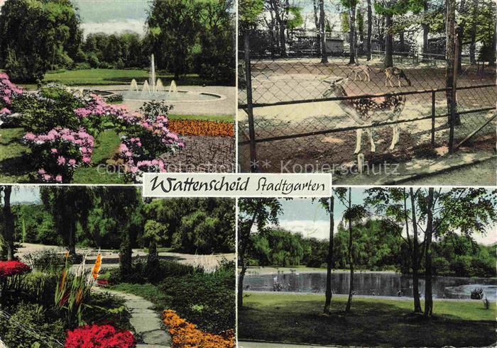 Wattenscheid BOCHUM Stadtgarten Tiergehege Gondelteich