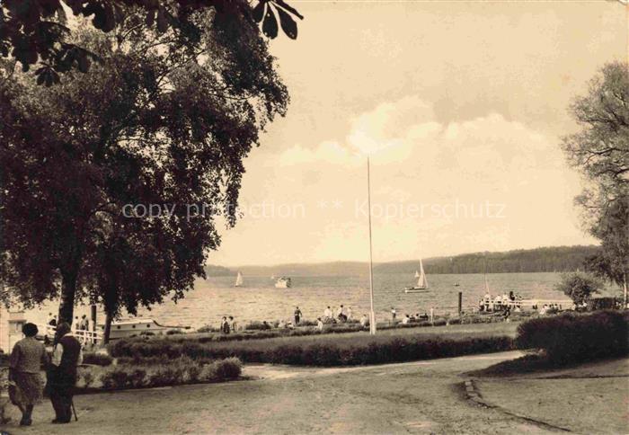 Altenhof Werbellinsee Barnim Brandenburg Seepanorama