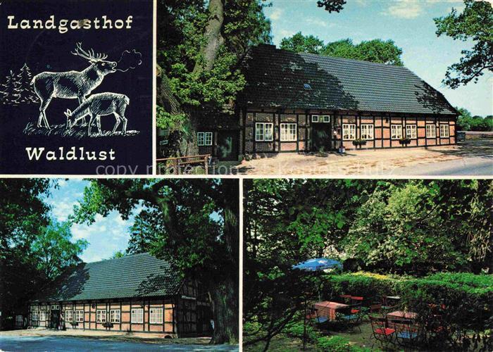 Kuehren Preetz Schleswig-Holstein Landgasthof Waldlust Freiterrasse