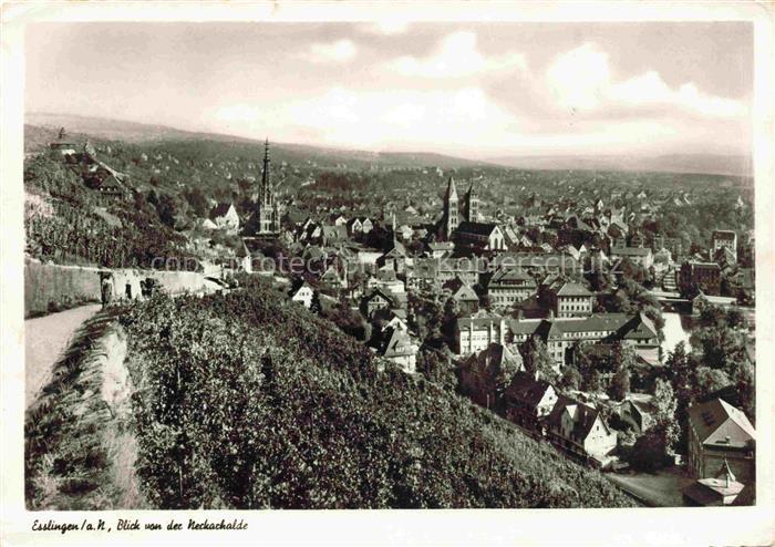 EssLINGEN  Neckar Blick von der Neckarhalde