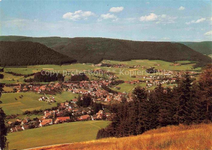 Baiersbronn Schwarzwald Panorama