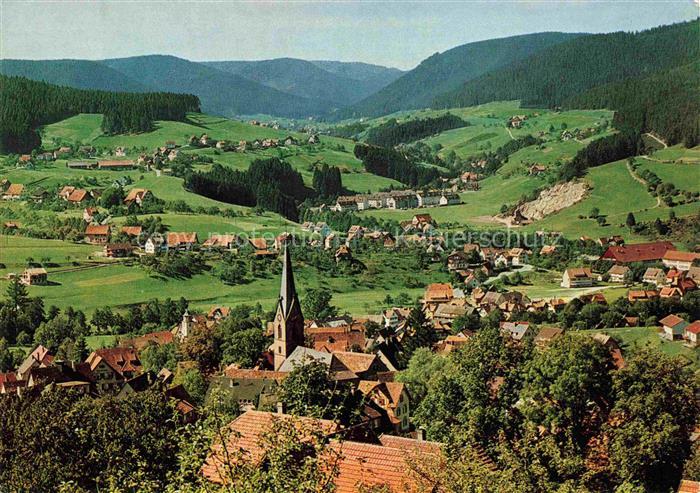 Baiersbronn Schwarzwald Panorama