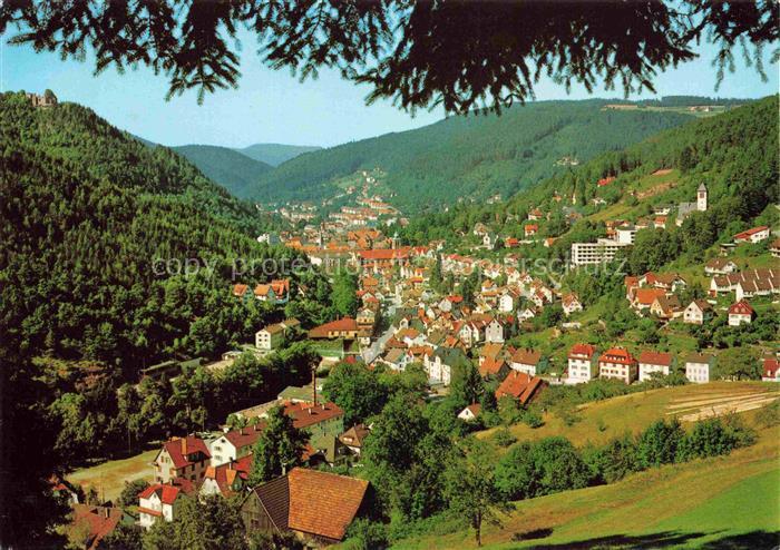 Schramberg BW Blick vom Tischnecker Berg