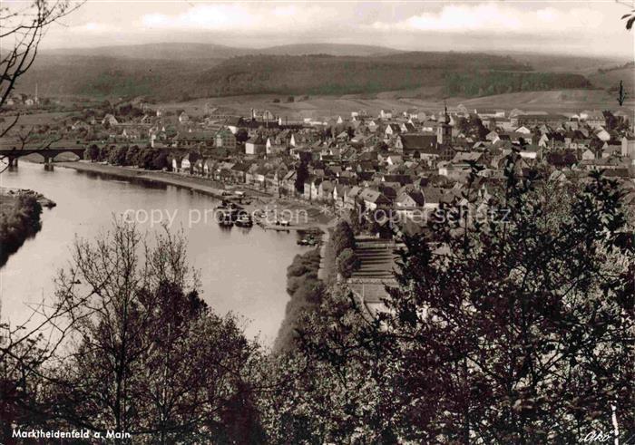 Marktheidenfeld Main-Spessart Bayern Panorama