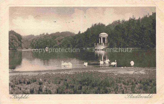 KREFELD Crefeld Stadtwald Schwanenteich