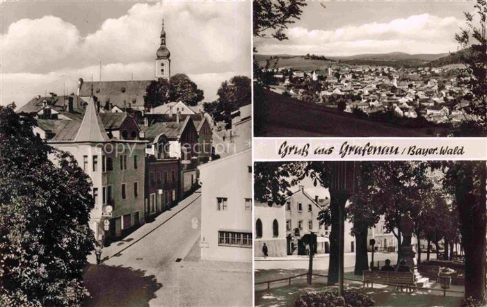 Grafenau Niederbayern Ortspartie Panorama Park