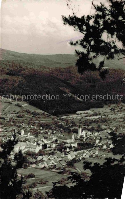 Seelbach Schutter Lahr Schwarzwald BW Fliegeraufnahme