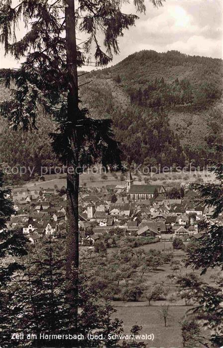 Zell Harmersbach BW Panorama
