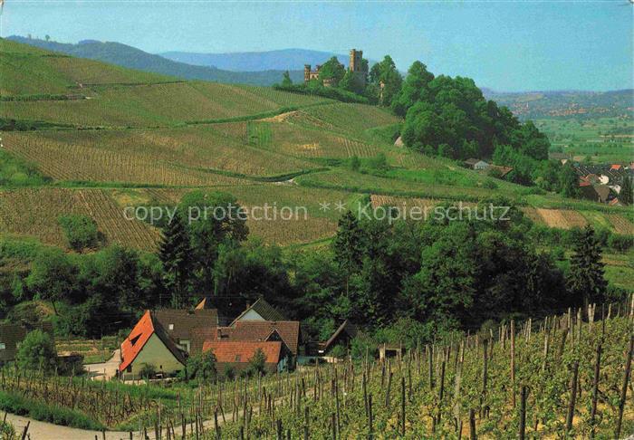 Ortenberg Baden Schloss Ortenberg Panorama