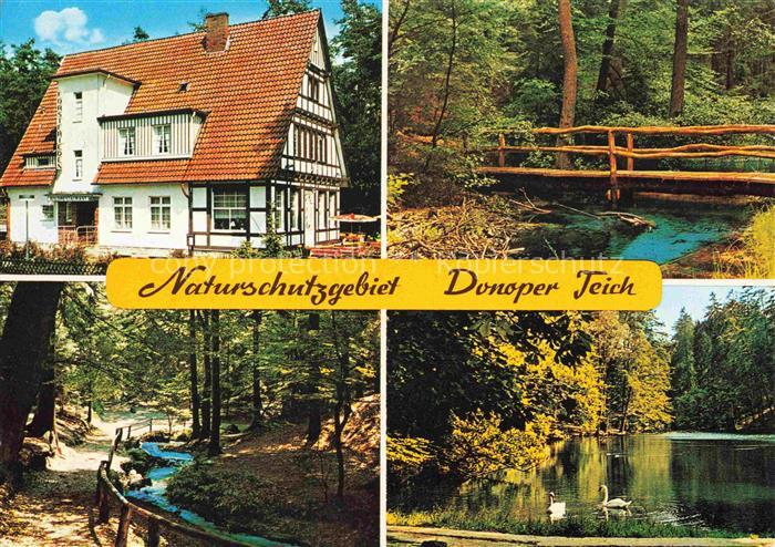 Hiddesen Detmold Lippe NRW Waldhotel Forstfreiden Donoper Teich Waldpartien