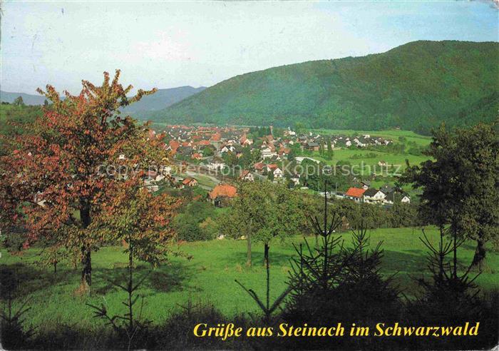 Steinach Schwarzwald Ortenaukreis BW Kinzigtal Panorama