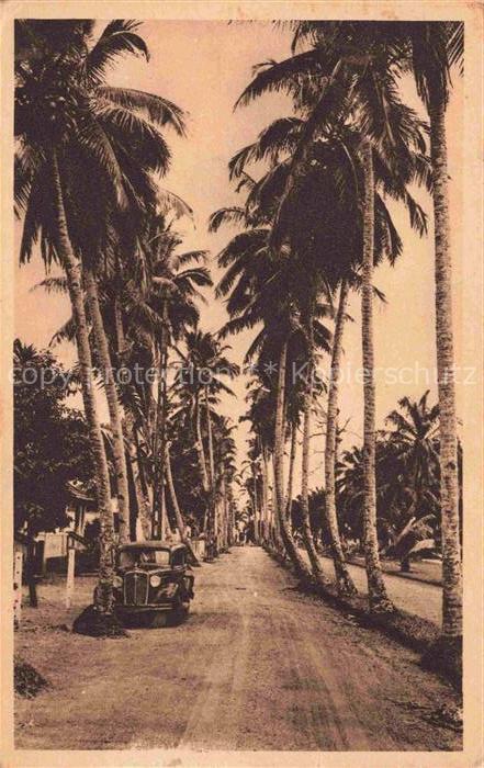 Douala Bonalembe Cameroun Kamerun Allee des Cocotiers