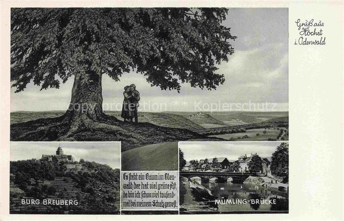 Hoechst Odenwald Hessen Grosser Baum Burg Breuberg Muemling Bruecke