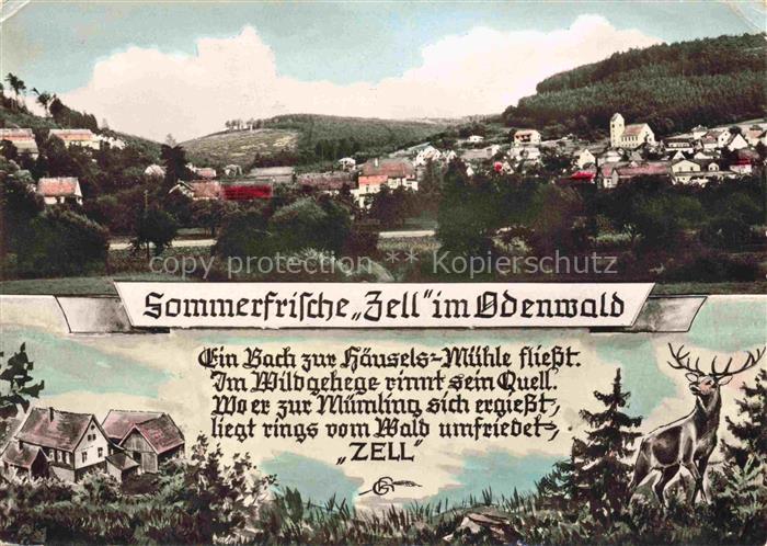 Zell Odenwald Panorama Haeusels Muehle Wildgehege