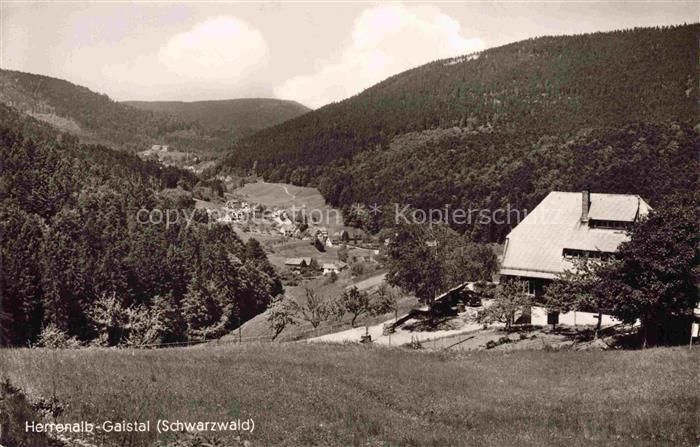 Gaistal Bad Herrenalb BW Panorama Schwarzwaldhaus