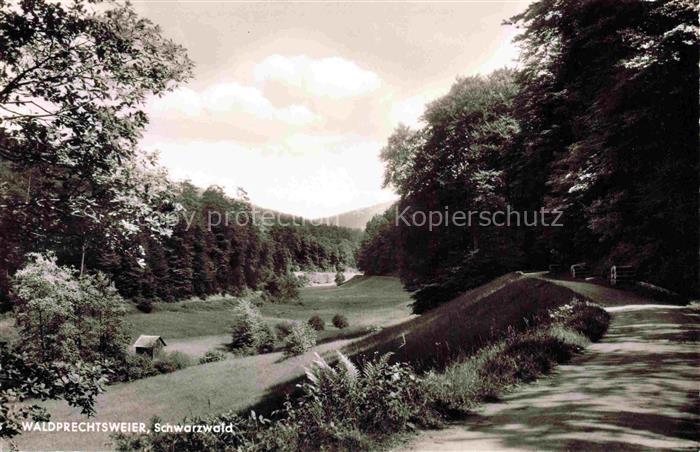 Waldprechtsweier Malsch Karlsruhe BW Panorama