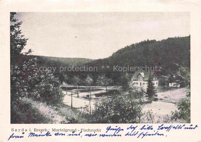 Sayda Mortelgrund Fischzucht