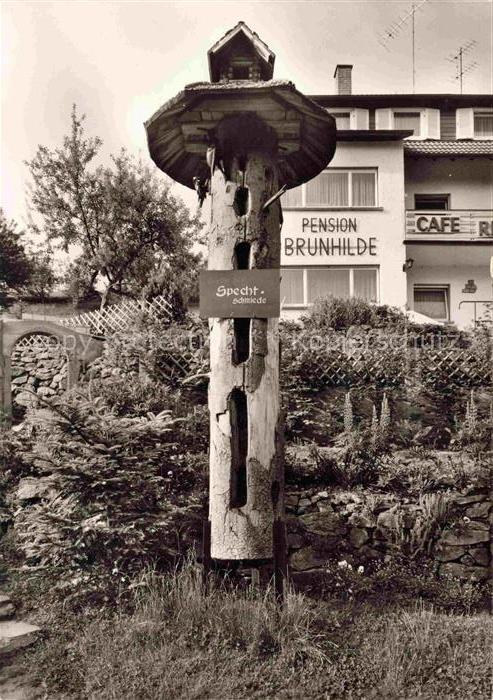 Zieflesberg Bad Herrenalb BW Gaestehaus Brunhilde Spechtschmiede