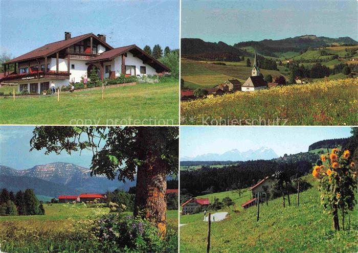 Balzhofen Pension Katharina Landschaftspanorama Alpenblick