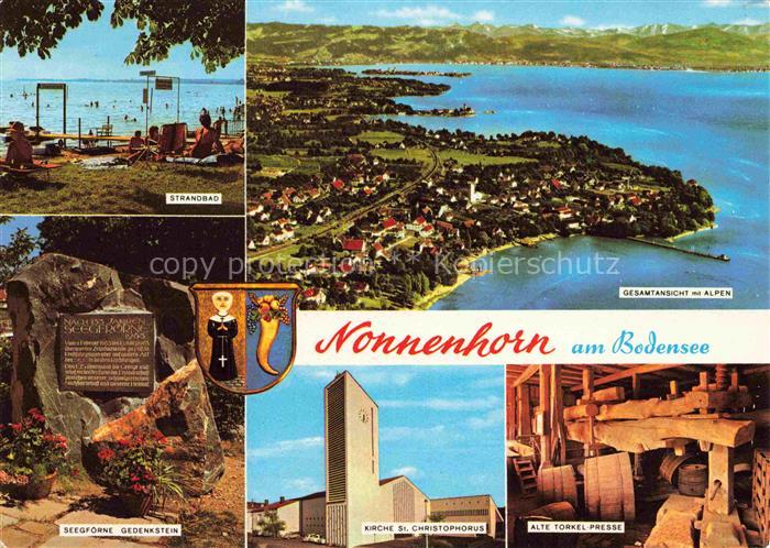 Nonnenhorn Gesamtansicht mit Alpen Luftaufnahme Strandbad Bodensee Seegfoerne Ge