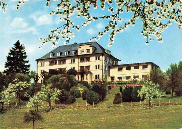 ueberlingen Bodensee BW Parkhotel St. Leonhard Baumbluete