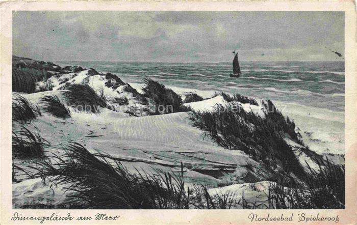 Spiekeroog Nordseeinsel Niedersachsen Duenengelaende am Meer