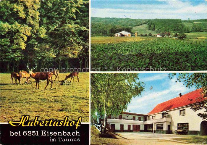 Eisenbach Limburg Gasthof Hubertushof Panorama Rotwild