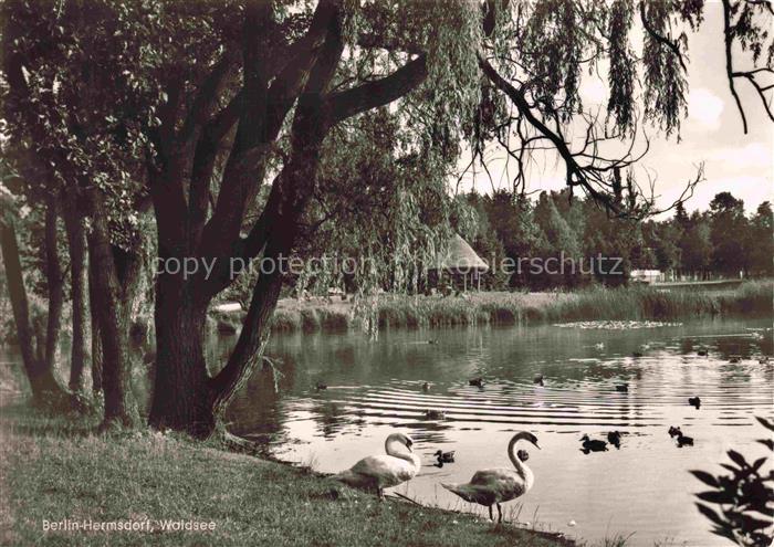 Hermsdorf BERLIN REINICKENDORF BERLIN Waldseepartie