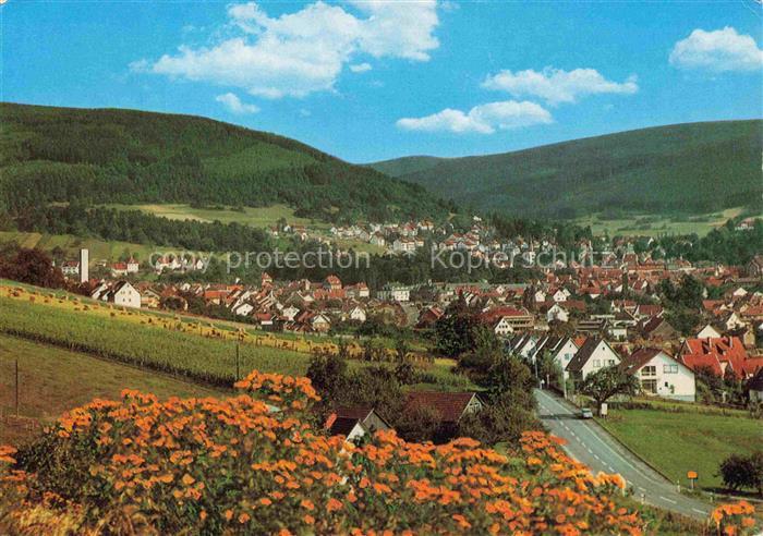 BAD ORB Hessen Panorama