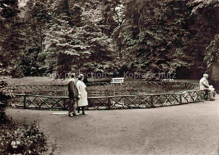 Bad Salzhausen Nidda Goldfischteich im Park