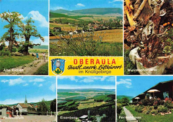 Oberaula Alte Eichen Wurzelschnitzerei Reitzentrum Eisenberg Ferienhaeuser