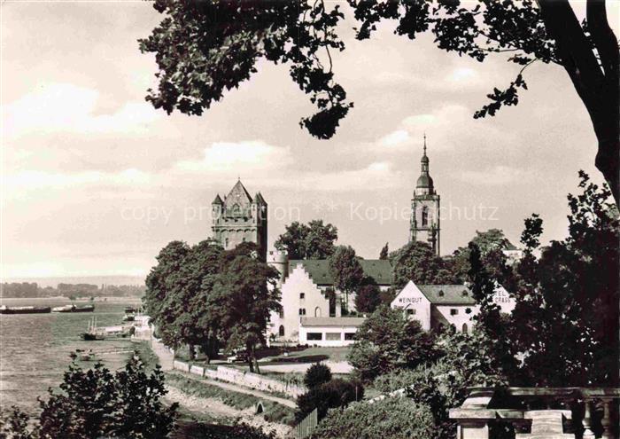 Eltville Rhein Panorama Schloss Kirche
