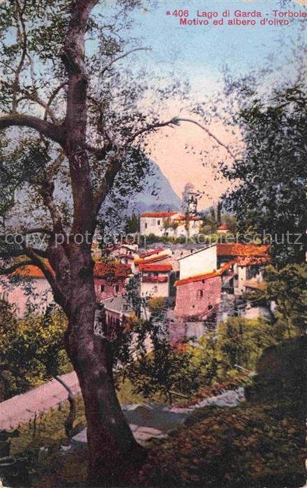 Torbole Lago di Garda IT Motivo ed albero d'olivio