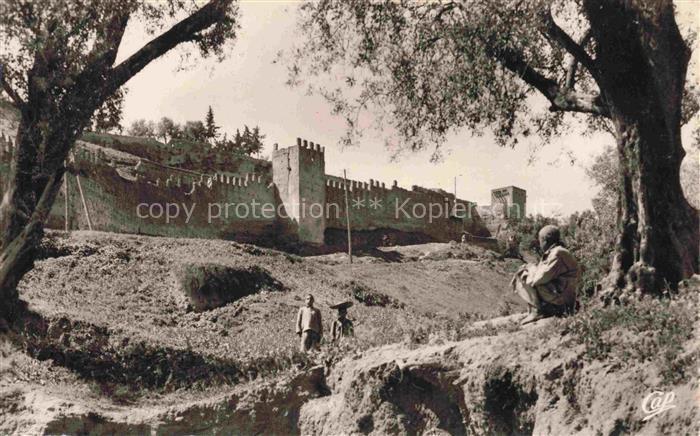 Taza Haut Algerie Bab Djemna Enceinte de la Medina