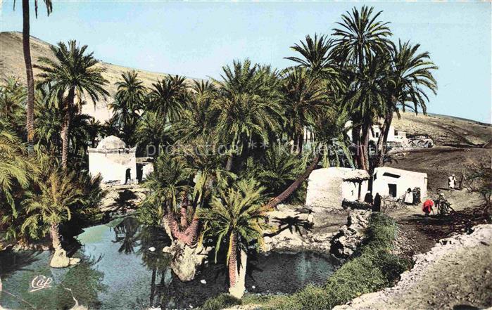Fes  Fez Maroc Sidi Harassem