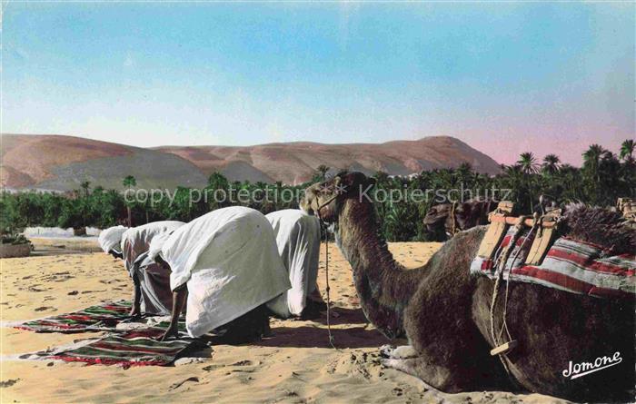 Bou-Saada Algerie L'Heure de Priere Gebet Kamel