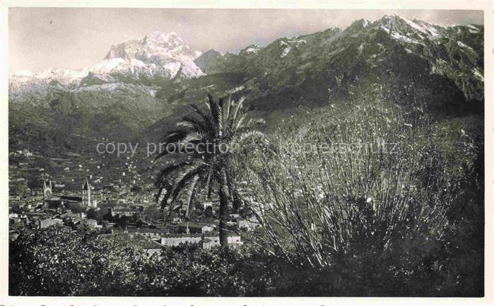 SOLLER Mallorca ES Puig Mayor Palme