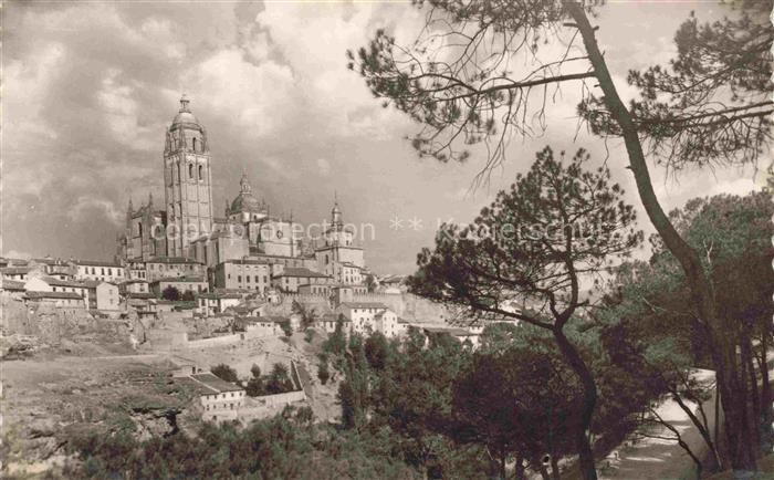 Segovia Castilla y Leon ES Cathedrale la Foret de pins