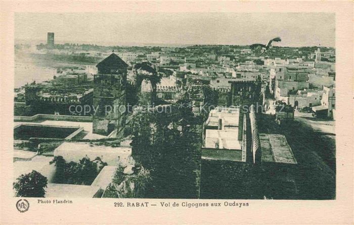 RABAT  Maroc Vol de Cigognes aux Oudayas