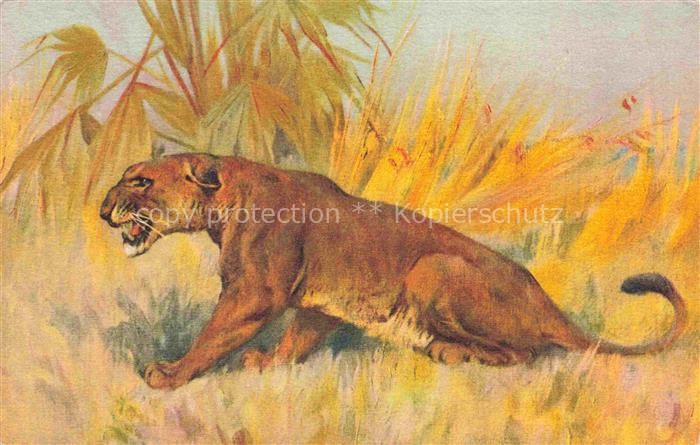 Loewe Lion--
