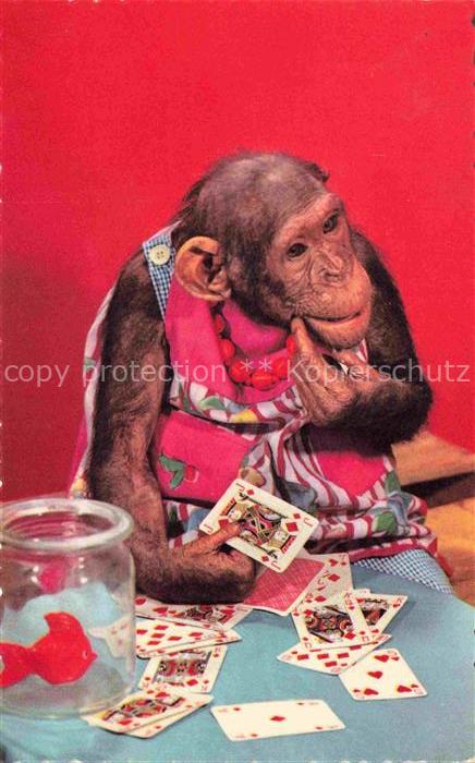 Affen Monkeys Singes Monos Scimmie-- Kartenspiel