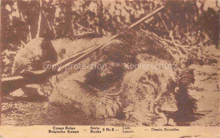 Loewe Lion-- Congo Belge Desaix Bruxelles