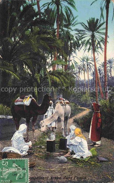 Kamele Camel Chameau-- l'oasis Tunis Datteln baum