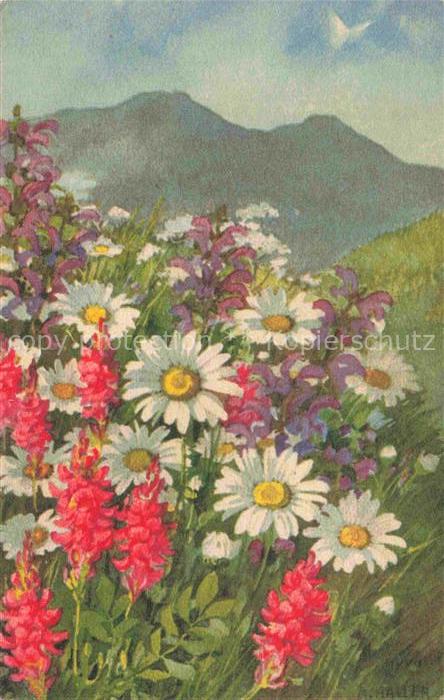 HALLER Anna Kuenstlerkarte Bergen Blumen fleurs