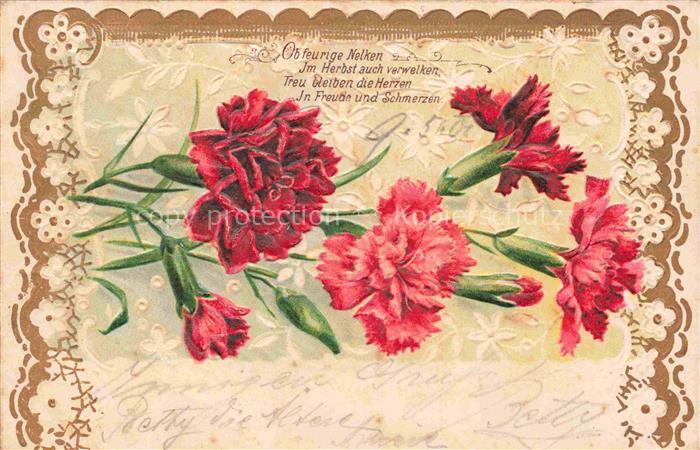 Nelken Carnations Oeillets Claveles Garofani-- Rot Litho