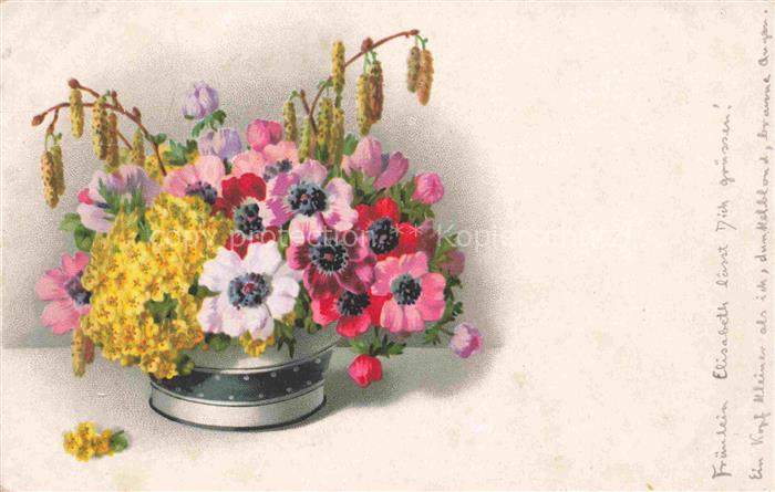MEIssNER und BUCH Litho Verlag Fruehlingsblumen