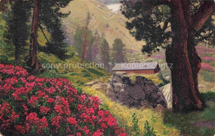 Photochromie Verlag Photochromie Nr. 1186 Serie 545 Rhododendron ferrugineum