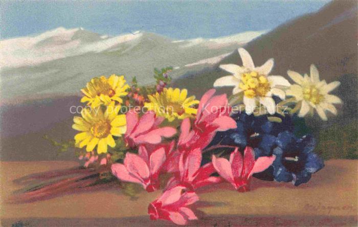 Photochromie Verlag Photochromie Nr. 1511 Serie 584 Blumen