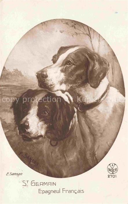 Foto Noyer A Paris Nr. 2701 E. Samson St. Germain Epagneul Francais