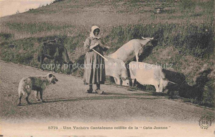 Landwirtschaft Une Vachere Cantaloune coiffee de la Cate Jeanne Hund Kuehe